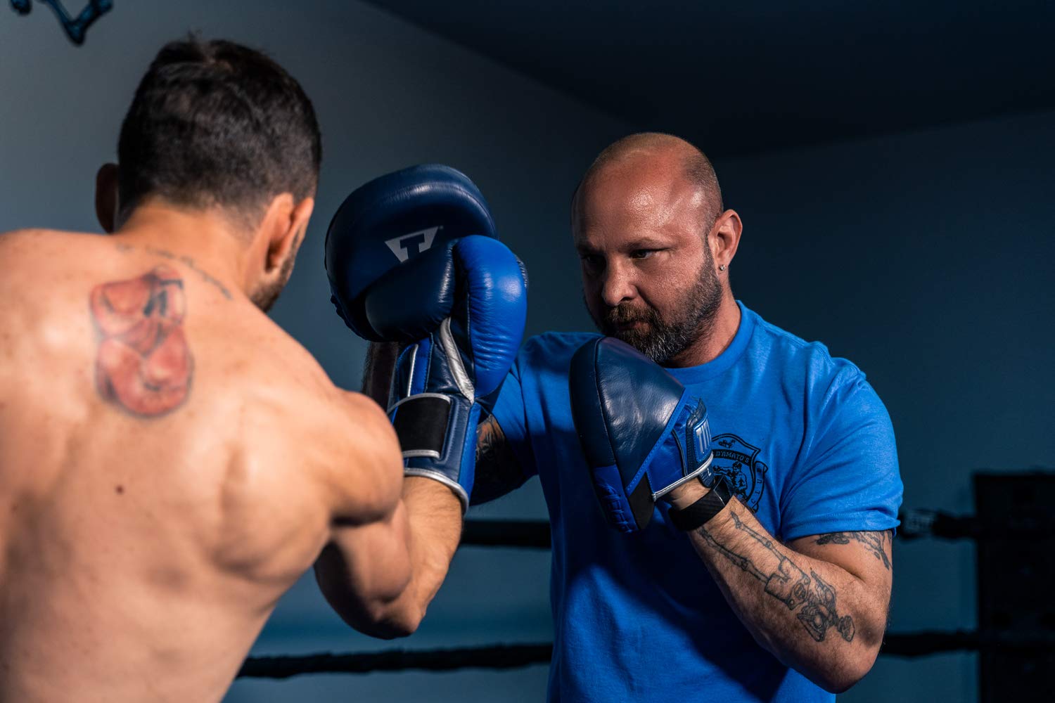 Amazon.com : TITLE Boxing Royalty Leather Micro Punch Mitts